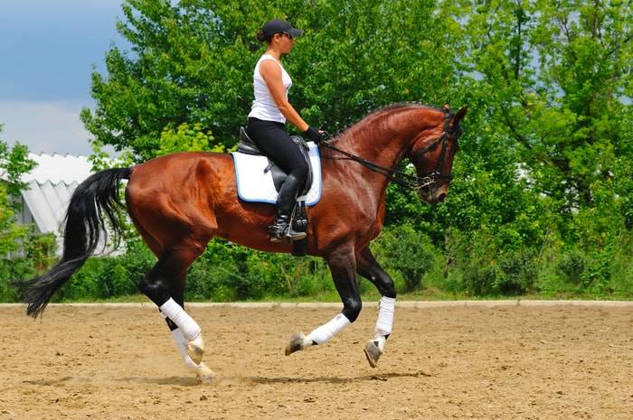 Foto av en kvinna som rider på sin häst och njuter av en solig dag