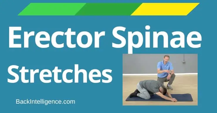 Erector-Spinae-stretches